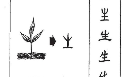 灶心土的用法及用量-灶心土有哪些副作用网-分享灶心土有副作用吗，灶心土有副作用吗知识库